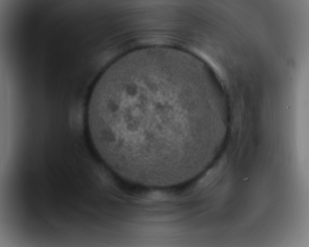 X0000093100111200710031837
