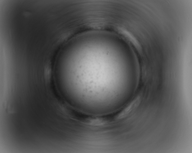 X0000093100113200710031837