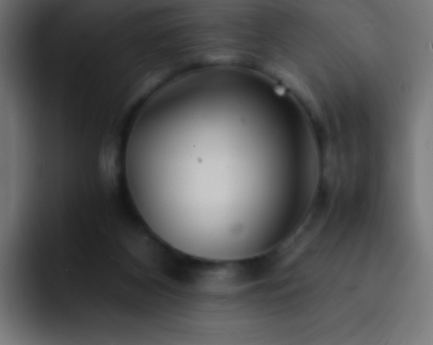 X0000093100116200710031837