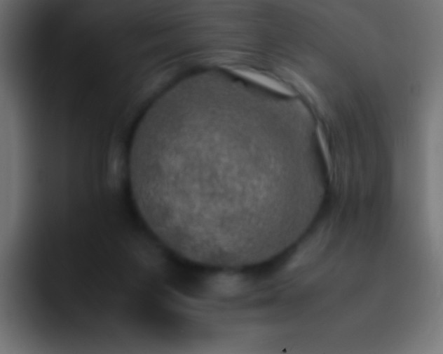 X0000093100119200710031837