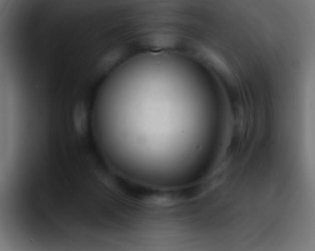X0000093100120200710031837