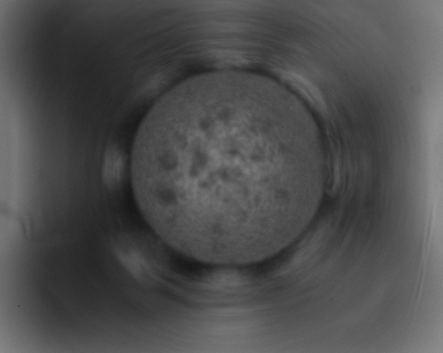X0000093100123200710031837
