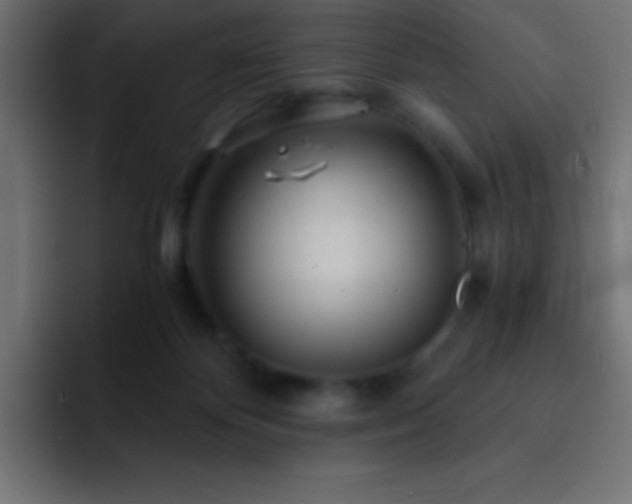 X0000093100124200710031837