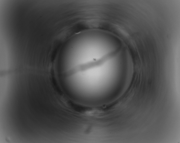 X0000093100125200710031837