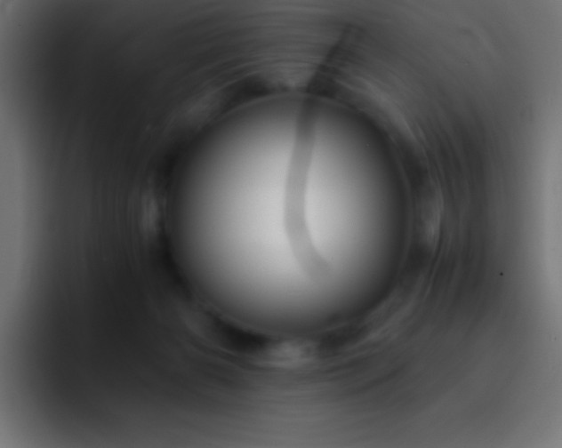 X0000093100126200710031837