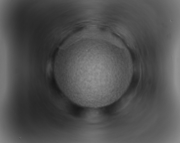 X0000093100127200710031836