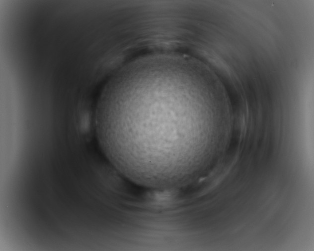 X0000093100134200710031836