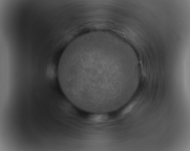 X0000093100135200710031836