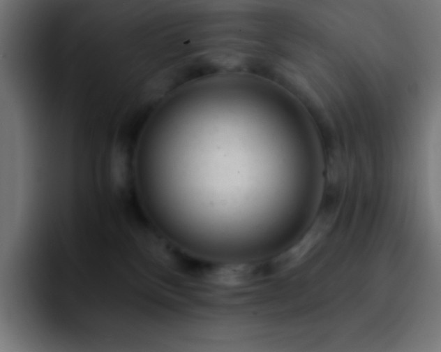 X0000093100136200710031836