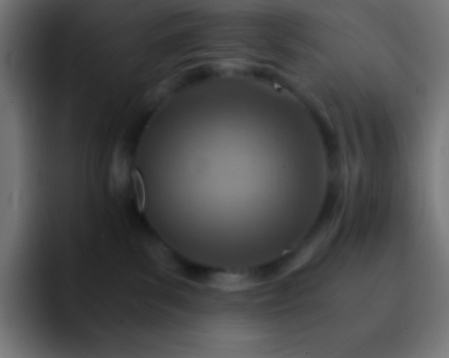X0000093100139200710031836