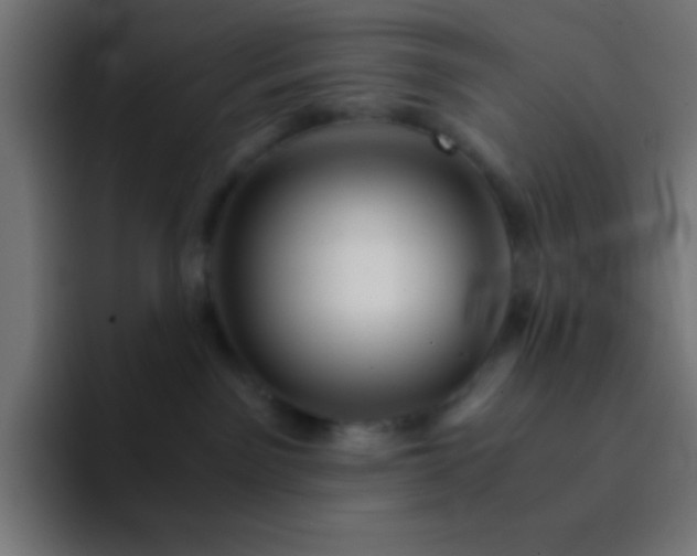 X0000093100141200710031836
