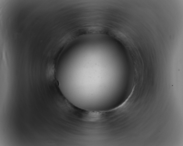 X0000093100144200710031836