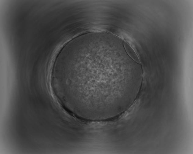X0000093100145200710031836