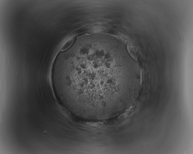 X0000093100147200710031836
