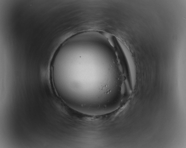 X0000093100148200710031836