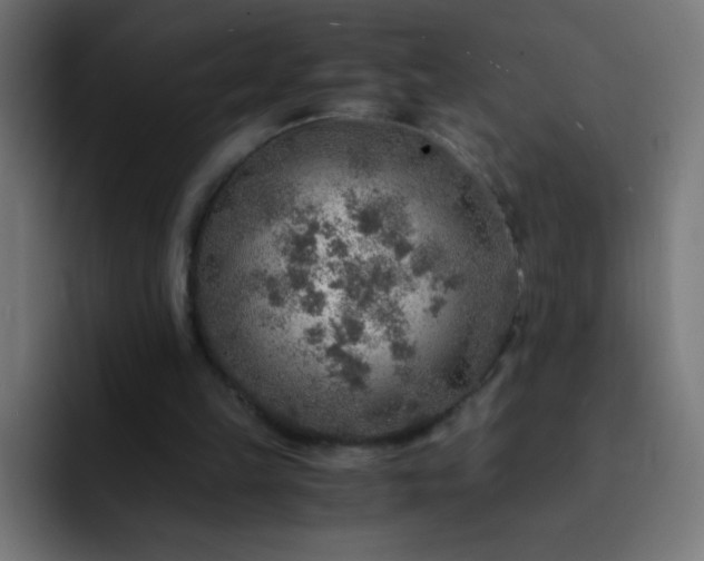 X0000093100149200710031836