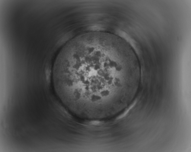 X0000093100153200710031836