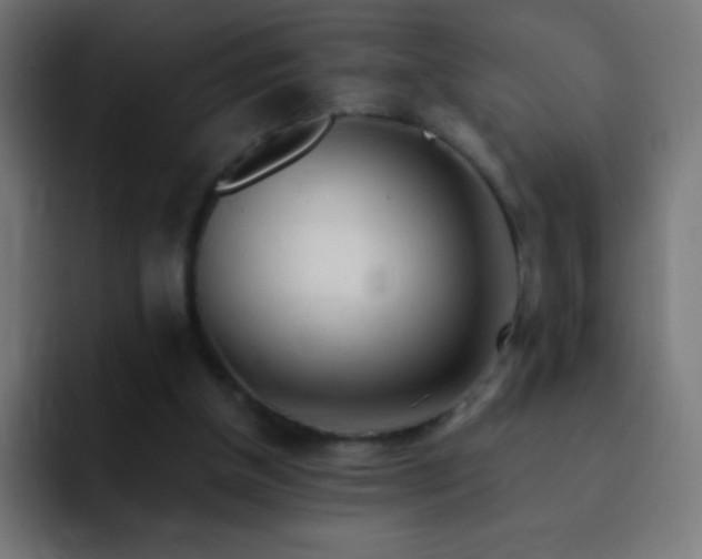 X0000093100154200710031836