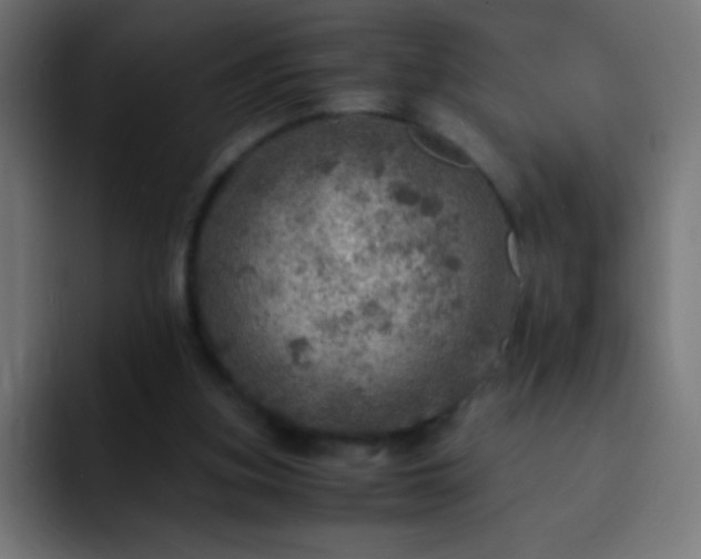 X0000093100155200710031836