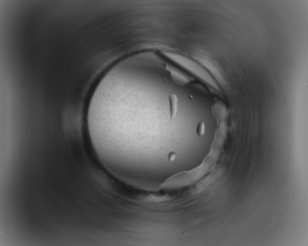 X0000093100156200710031836