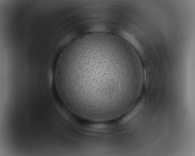 X0000093100157200710031836