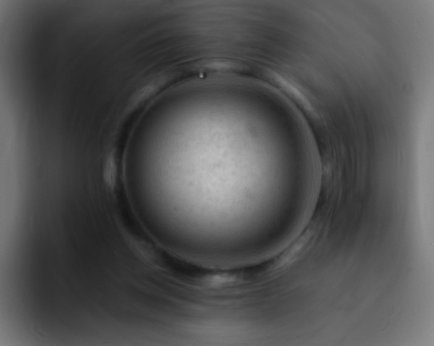 X0000093100158200710031836