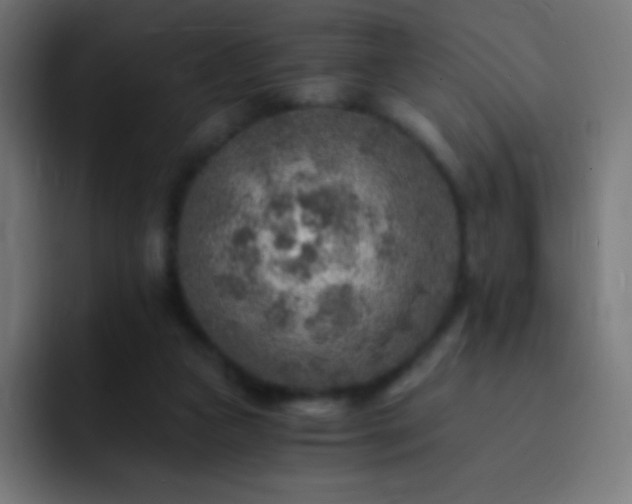 X0000093100161200710031836