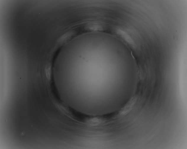 X0000093100163200710031836