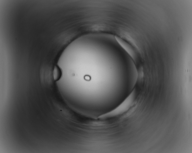 X0000093100164200710031836