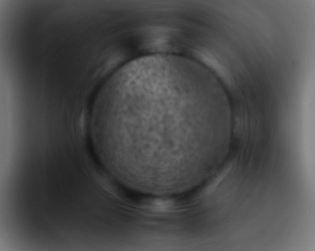 X0000093100165200710031836