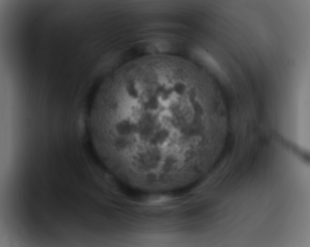 X0000093100169200710031836
