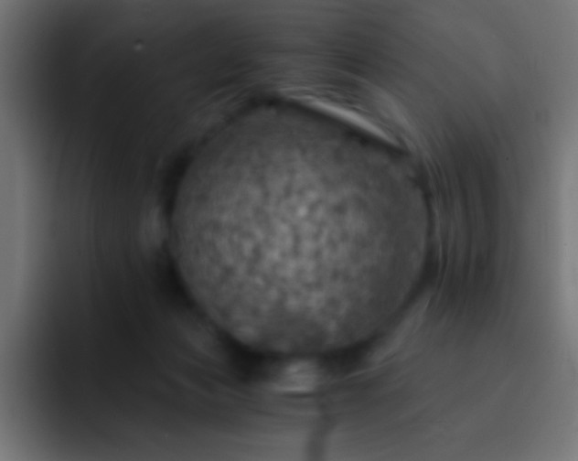 X0000093100173200710031836
