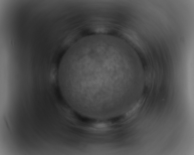 X0000093100175200710031836