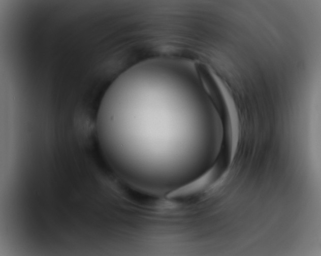 X0000093100176200710031836