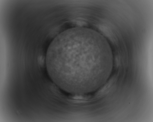 X0000093100177200710031836