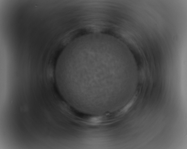 X0000093100178200710031836