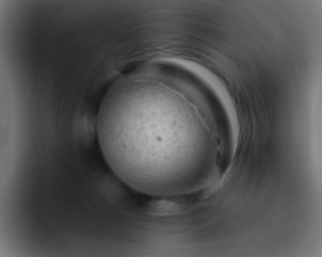 X0000093100180200710031836
