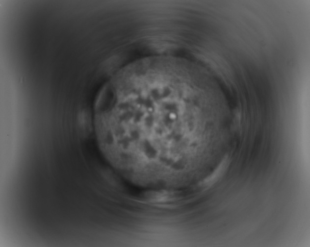 X0000093100182200710031836