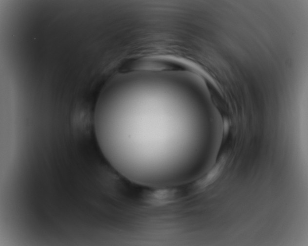 X0000093100184200710031836