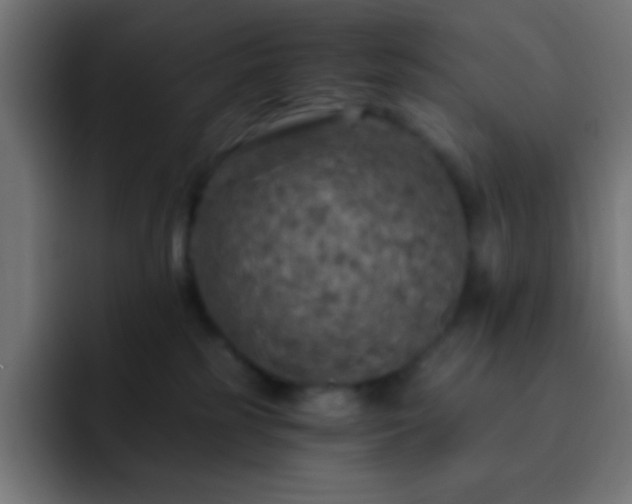 X0000093100185200710031836
