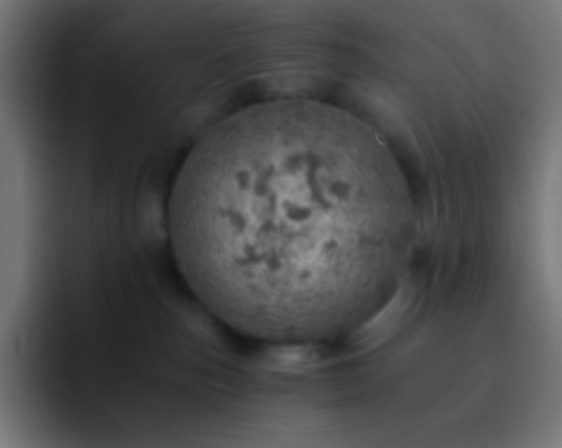 X0000093100187200710031836