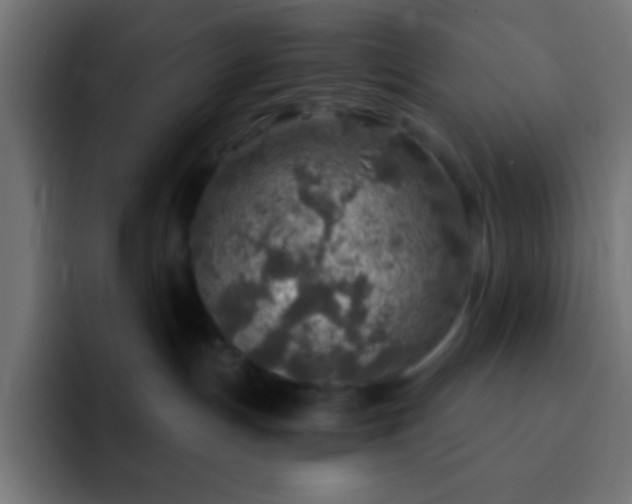X0000093100191200710031836