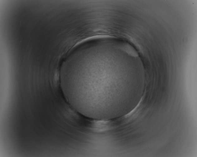 X0000093100192200710031836
