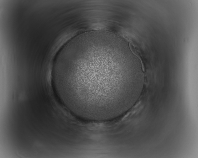 X0000093100194200710031836
