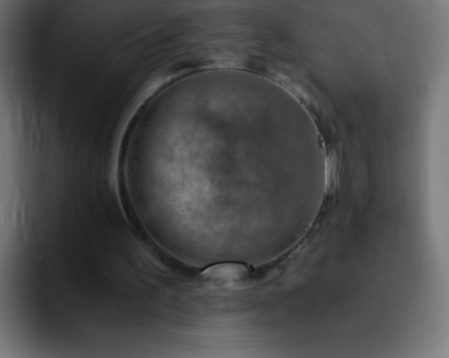 X0000093100195200710031836