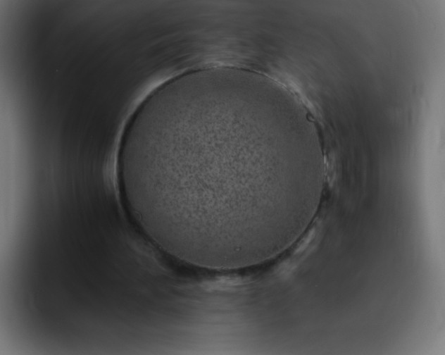 X0000093100196200710031836