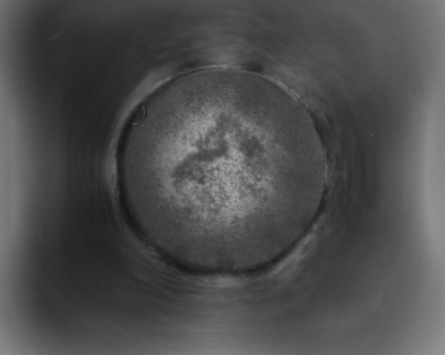 X0000093100198200710031836