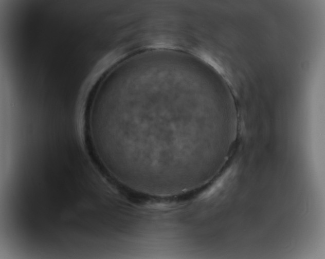 X0000093100199200710031836
