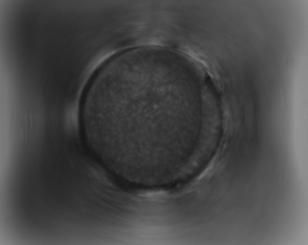 X0000093100200200710031836