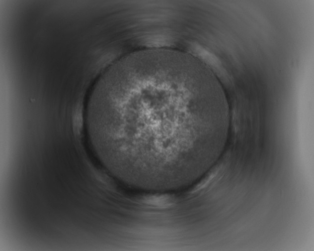 X0000093100202200710031836